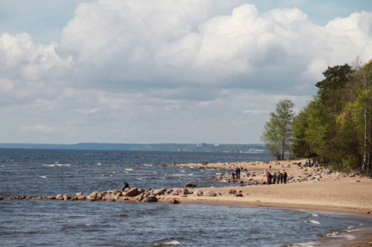    В Новосибирске признан опасным для купания пляж на Шлюзе
