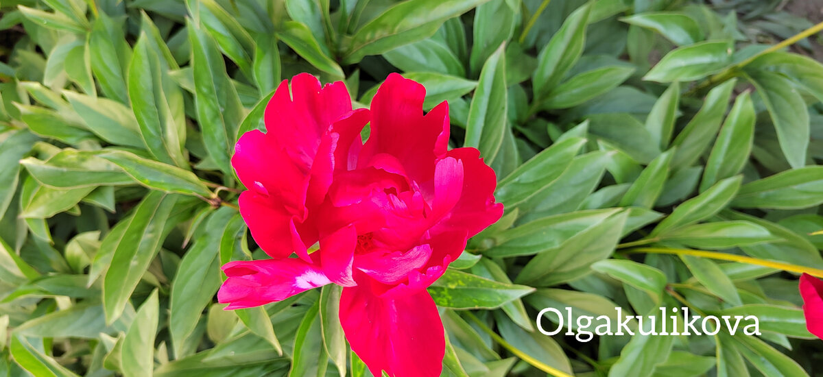 Фото автора.