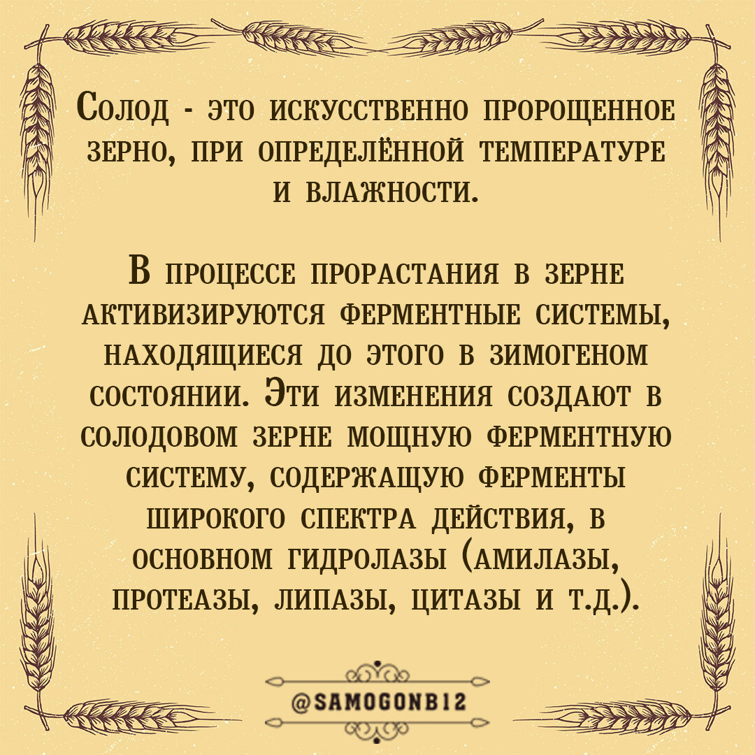 Что такое солод. Коллаж автора ©