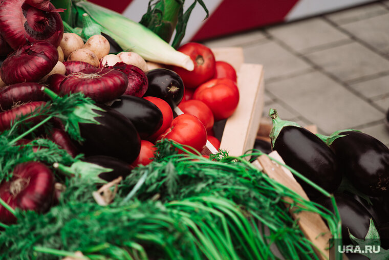    Овощи в области стоят дешевле, чем годом ранее