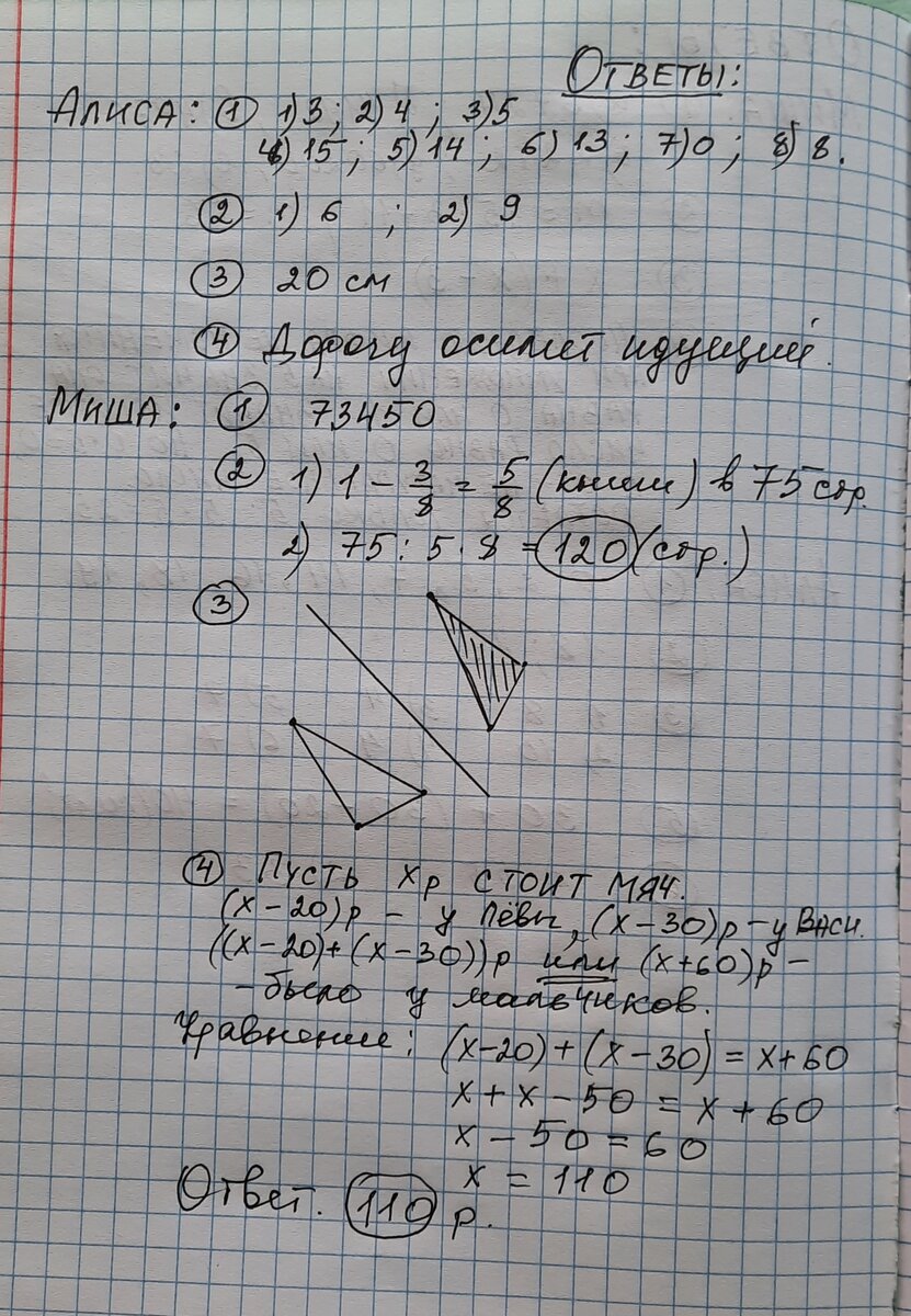 Лето на даче. 2023 год. | Математика. Продолжение следует прим. | Дзен