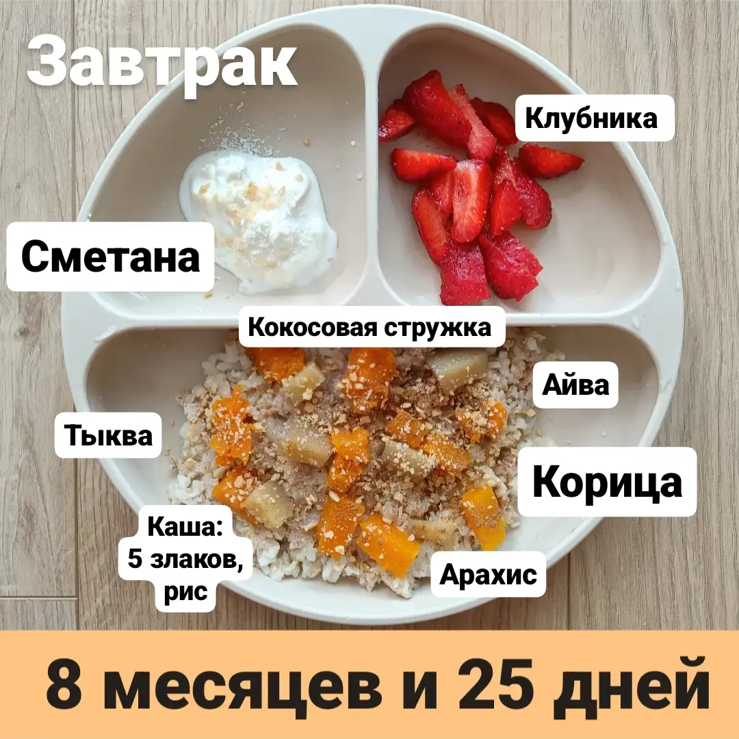 Пример тарелки в 8 месяцев 