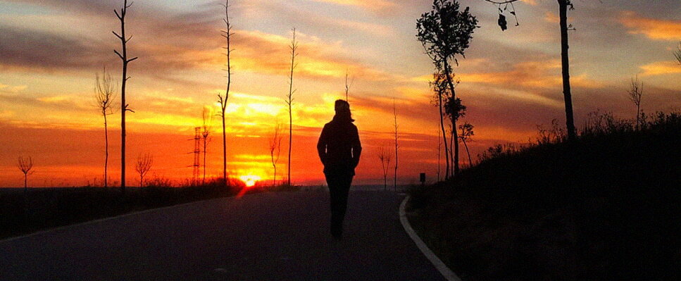 Яндекс.Картинки