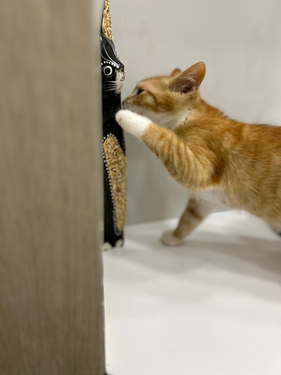 Дай-ка я тебя понюхаю...