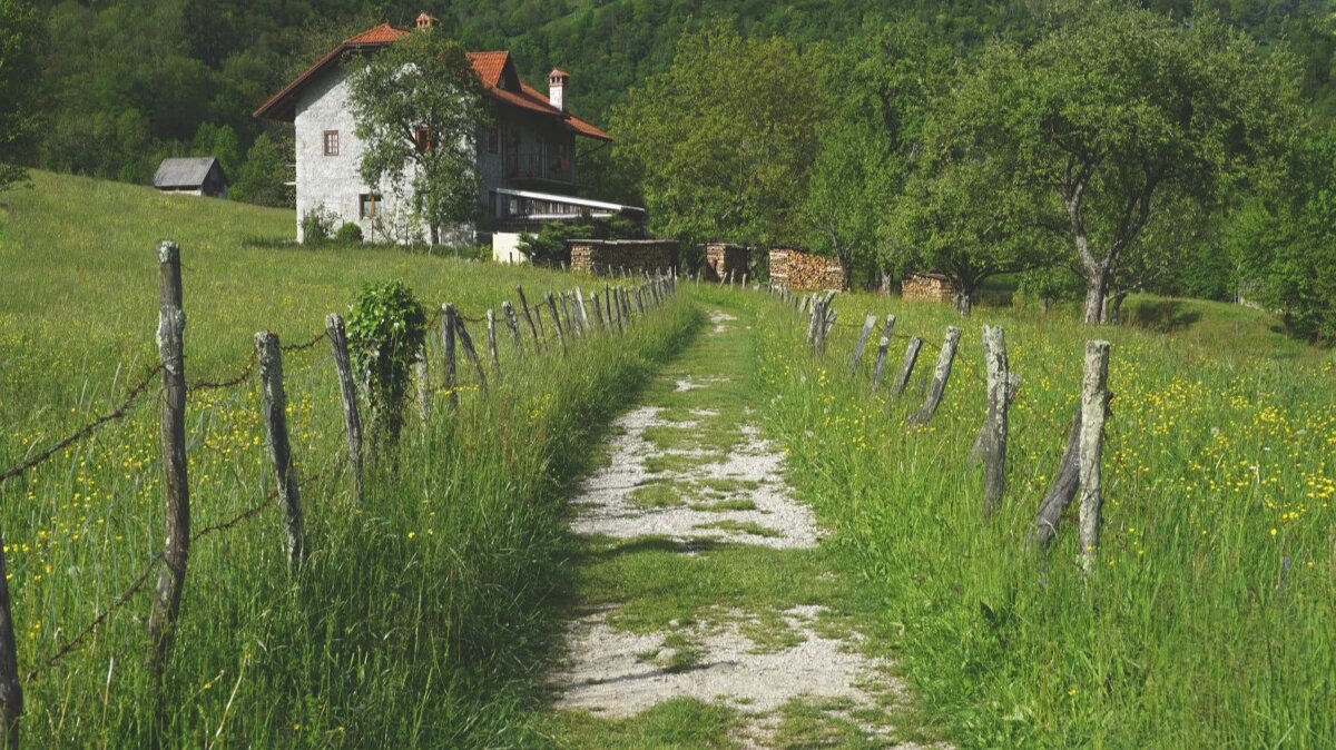 Фото: pxhere.com