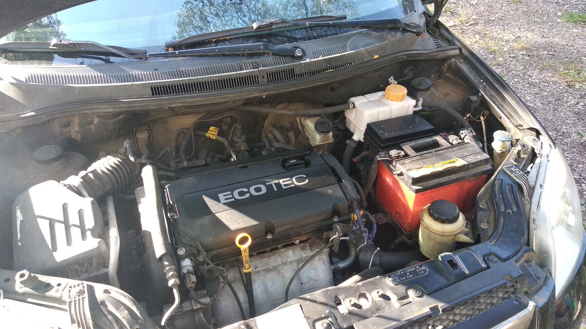 Это виновник моих седых волос