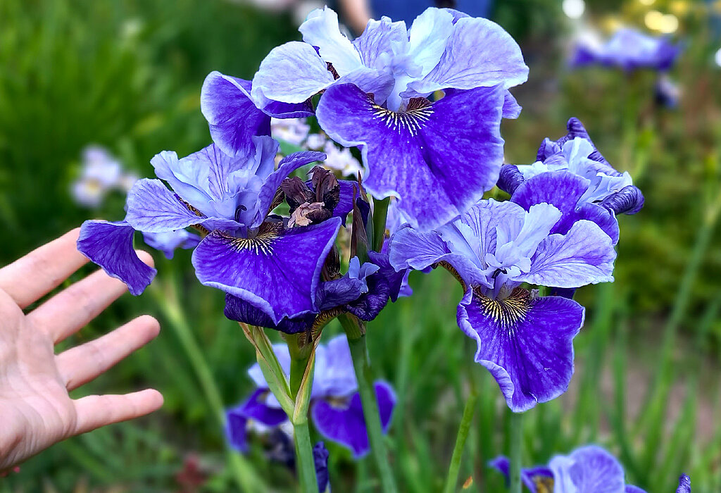 Листайте галерею