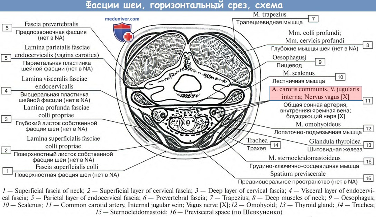 из общедоступных источников