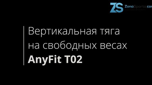 Вертикальная тяга на свободных весах AnyFit T02 обзор