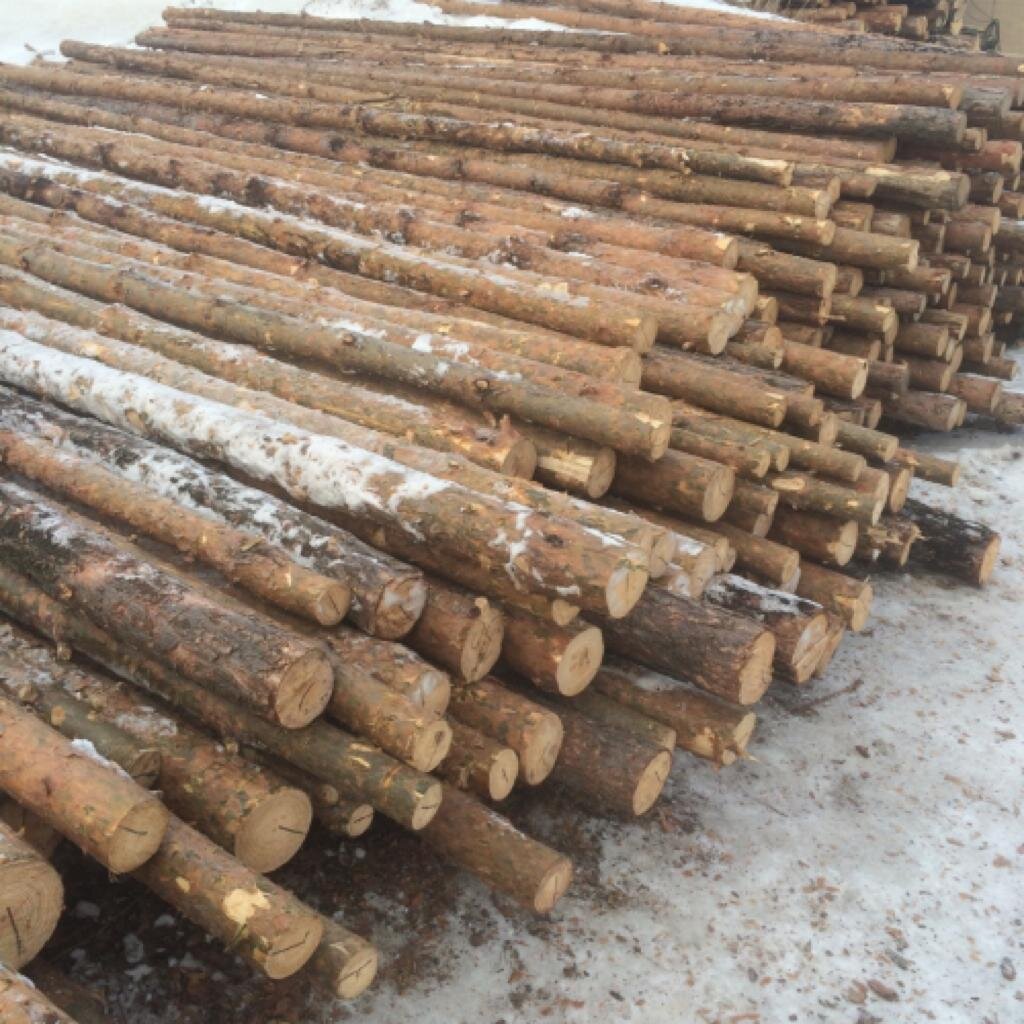 Что такое жердь. Березовые столбы для забора. Что такое жердь. Жердь лесоматериалы. Жердь.