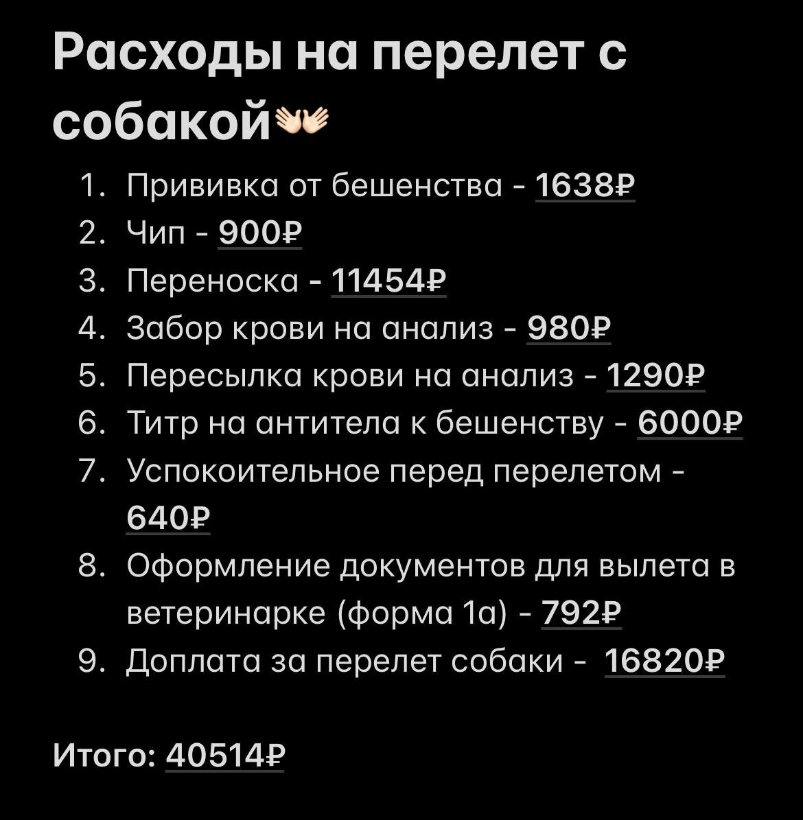 Как перевезти собаку в Израиль | Израиль изнутри | Дзен