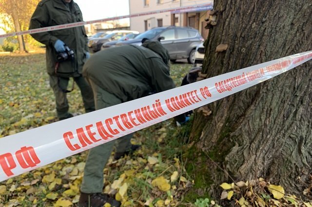    Что известно о найденной под Петербургом человеческой голове в пакете?