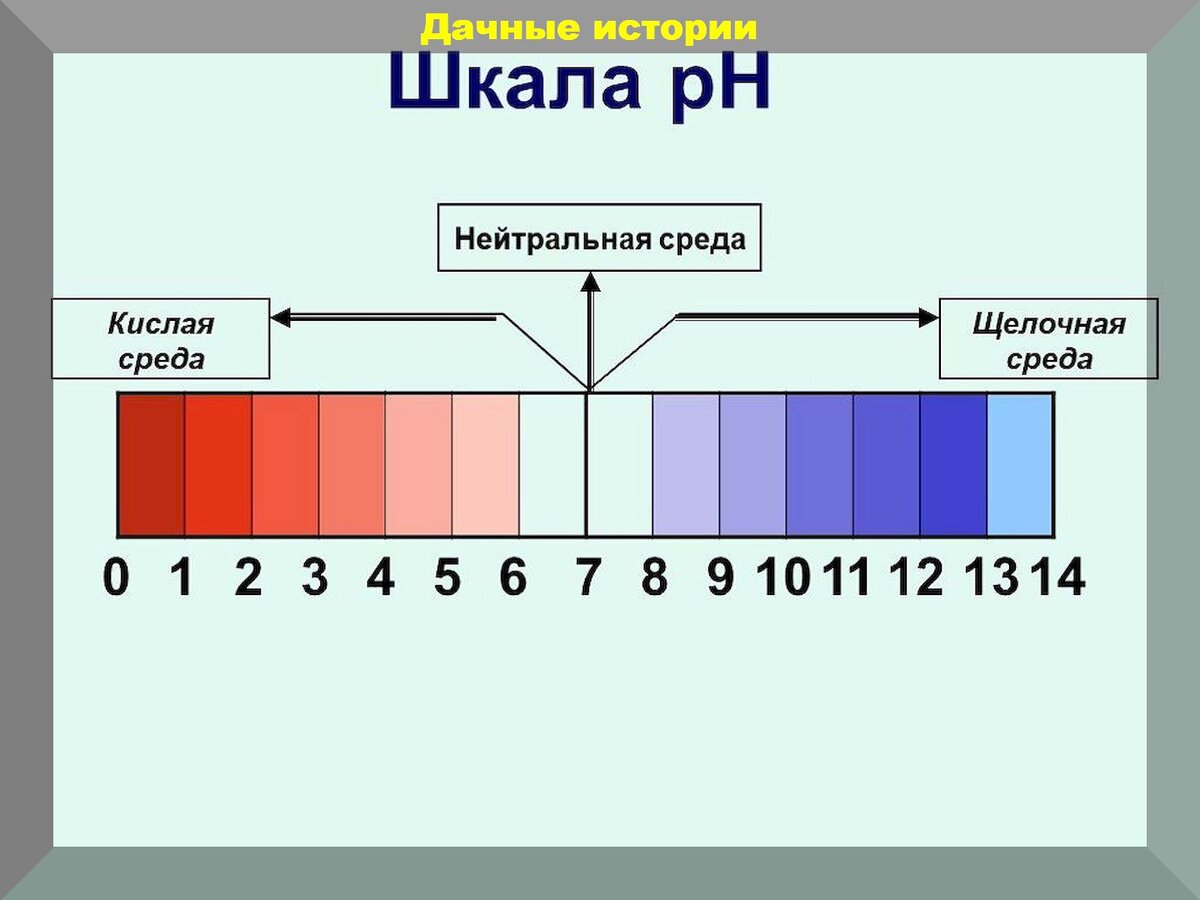 https://vk.com/photo-159774511_457260981