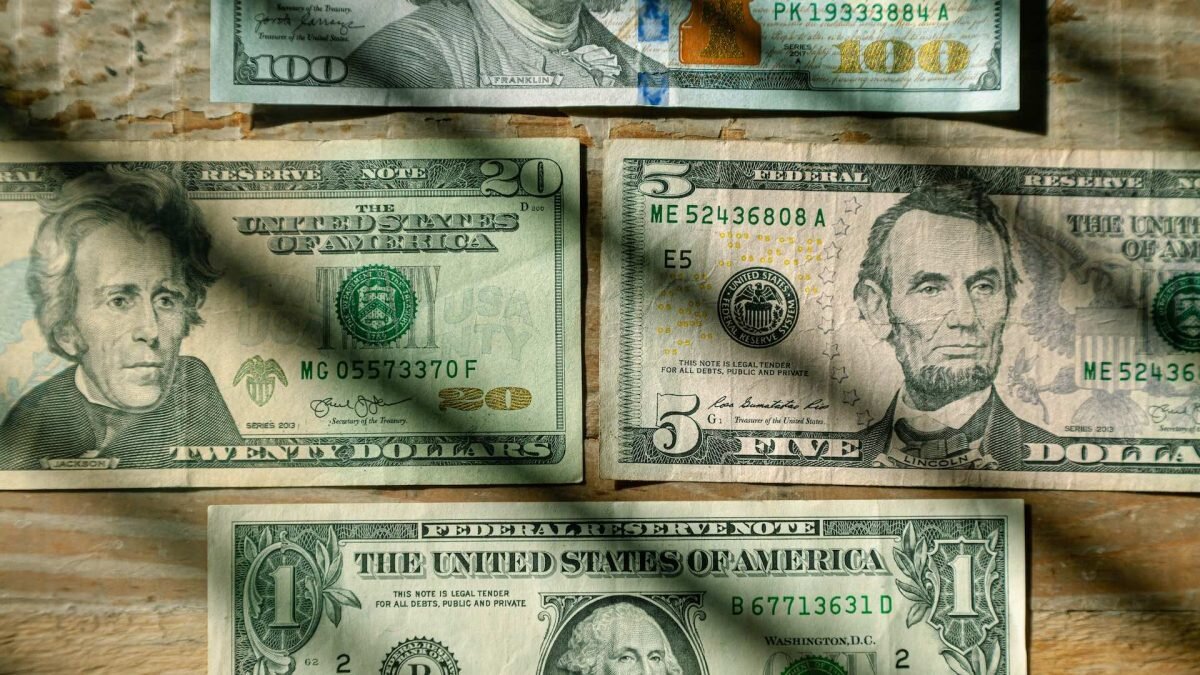    Фото: Unsplash Август Макаров