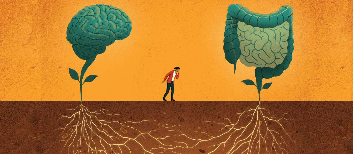 https://magazine.jhsph.edu/2021/gut-microbiome-and-brain