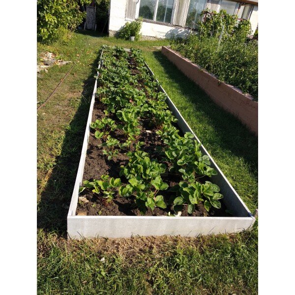 Простая высокая грядка