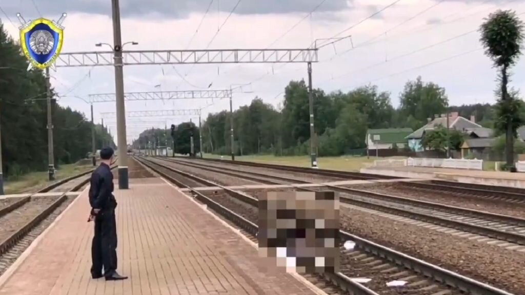    Фото: Скриншот видео Елена Стеценко