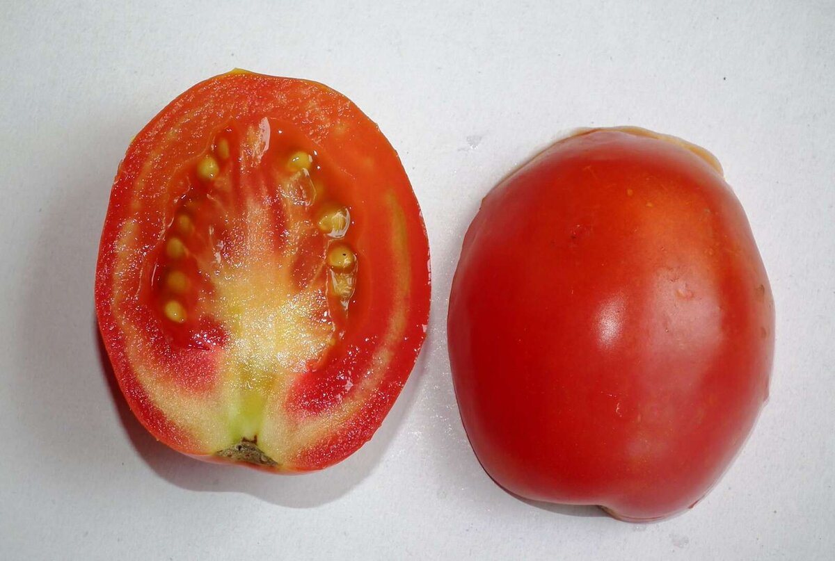 Прожилки в помидорах. Плод томата. Томаты с белыми прожилками. Помидоры с твердыми прожилками.