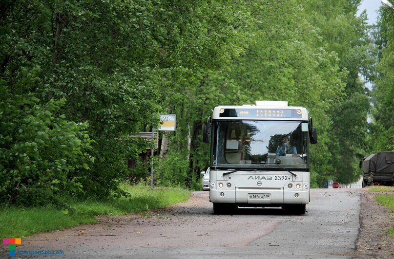 Автобус 84 маршрут остановки. Автобусы. ЛИАЗ. Автобус ЛИАЗ. ЛИАЗ маршрутка.