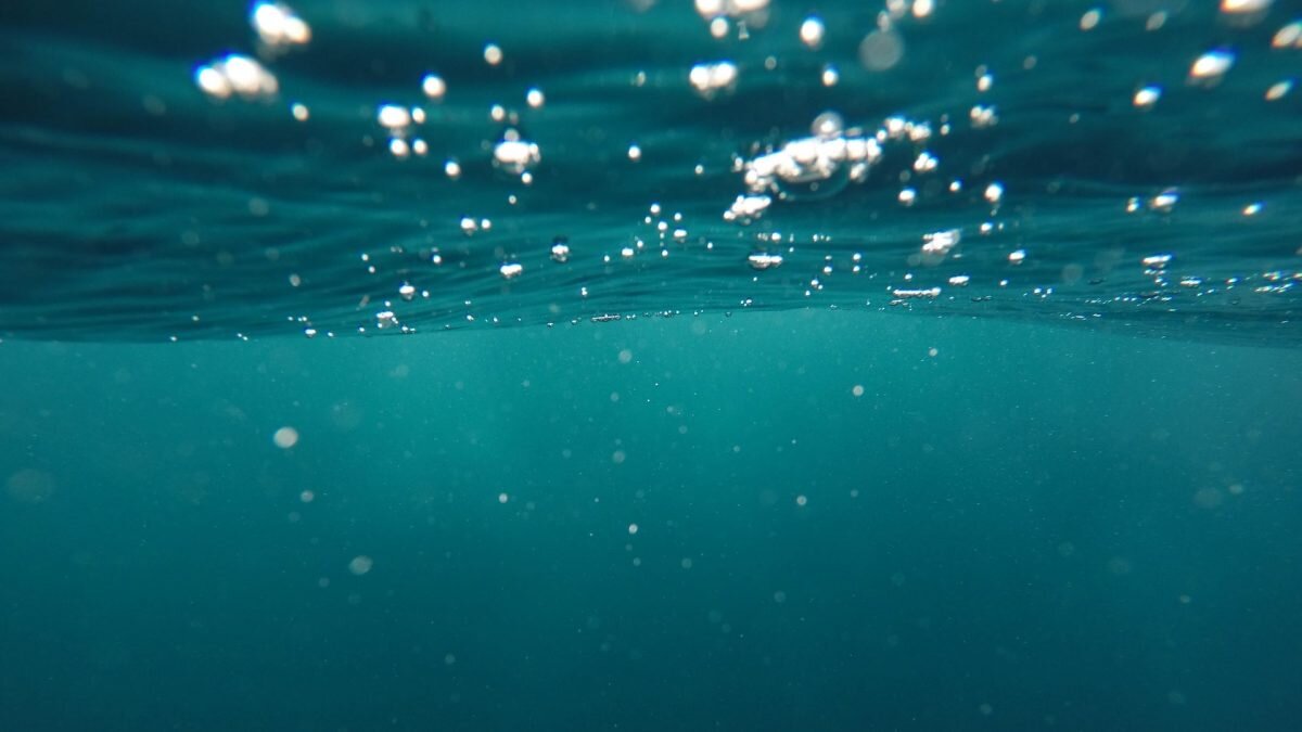    Иллюстративное фото / Jeremy Bishop / Unsplash Август Макаров