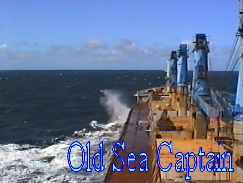 вышли на морские просторы. кадр из видео автора