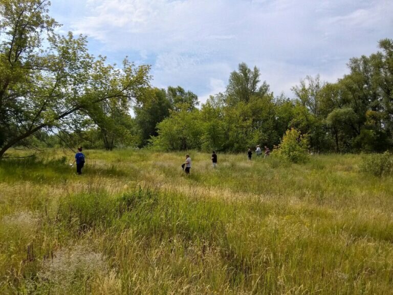    Сорочинский округ просит оренбуржцев присоединиться к поискам девочки Андрей Севостьянов