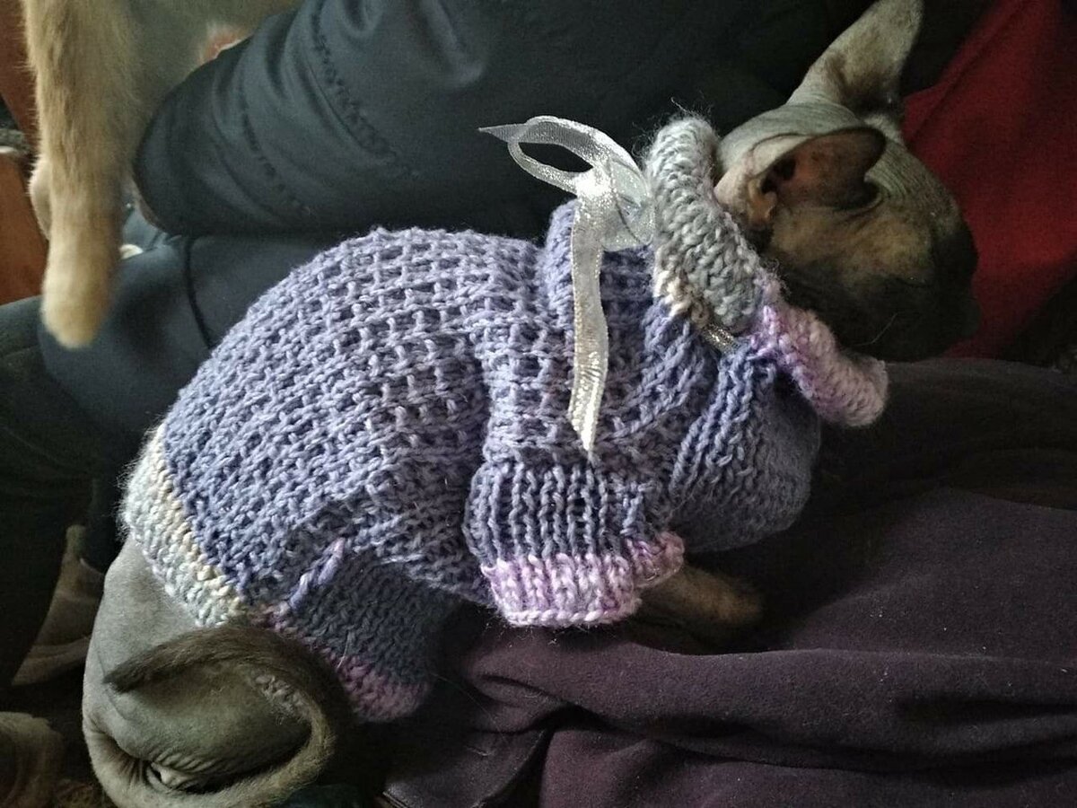 Фото из домашнего архива