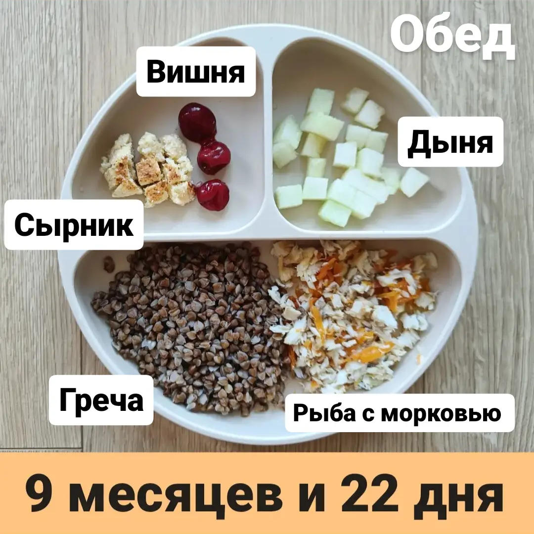 Пример тарелки в 9 месяцев 