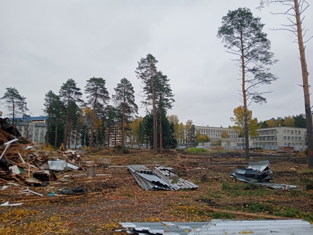 Вырубка на месте 3 общ