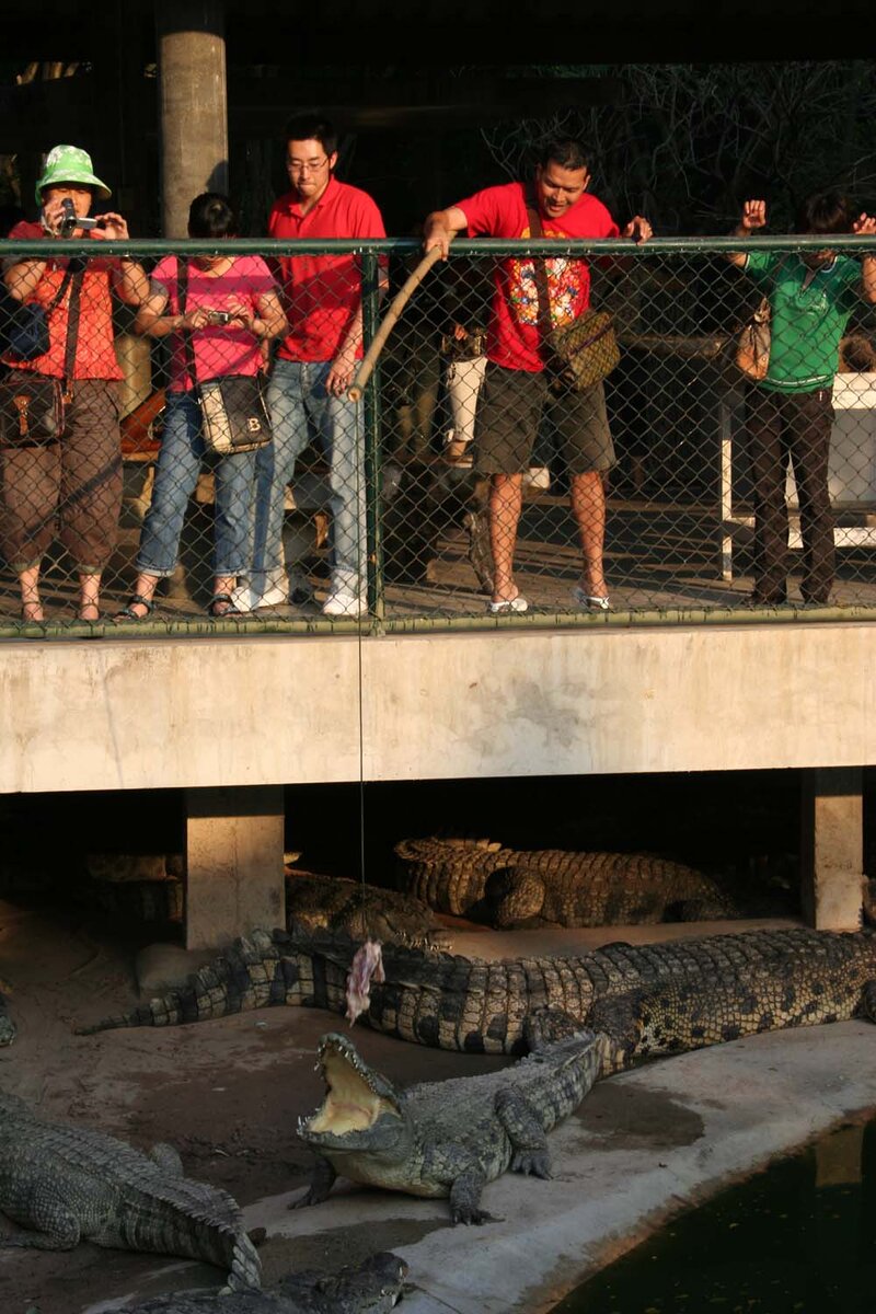 Действо выглядит вот так