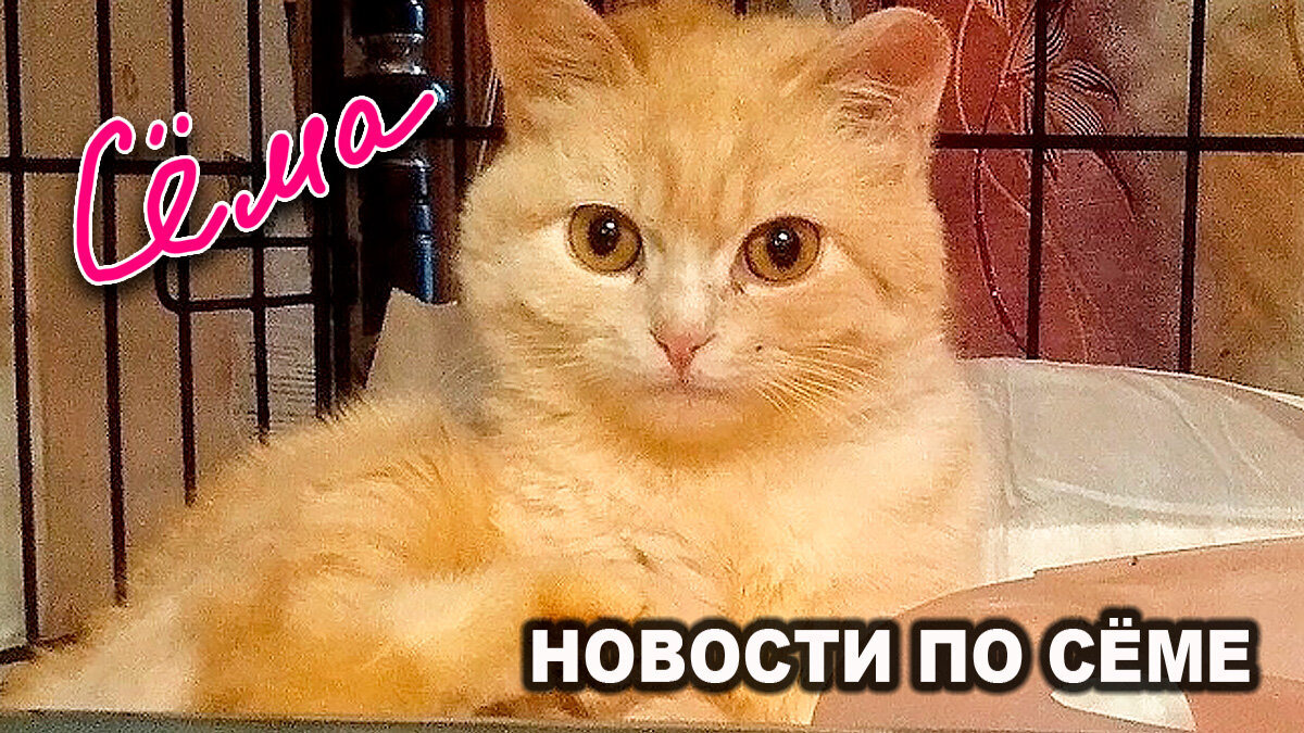 Все фотографии в тексте - автора