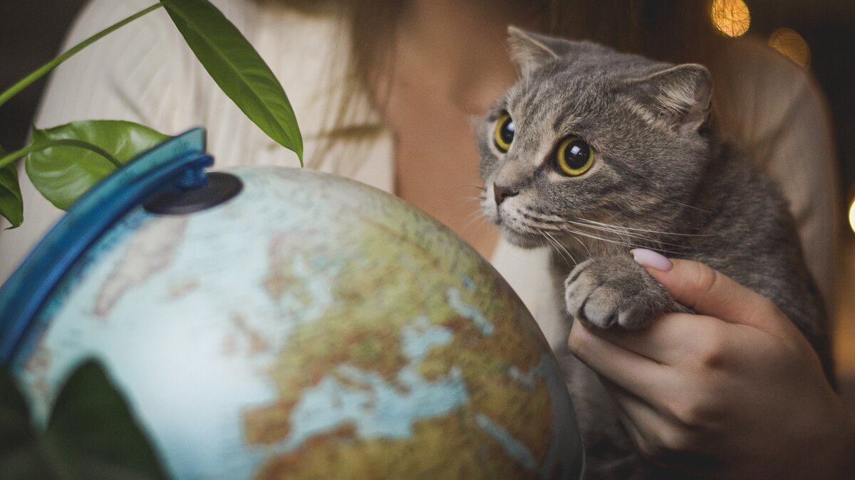     Республика вошла в топ-5 популярных направлений для приключенческого туризма в период с марта по июнь, это выяснили эксперты российского сервиса бронирования гостиниц.