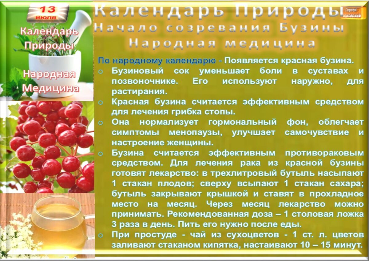 13 июля - Приметы, обычаи и ритуалы, традиции и поверья дня. Все праздники  дня во всех календарях. | Сергей Чарковский Все праздники | Дзен