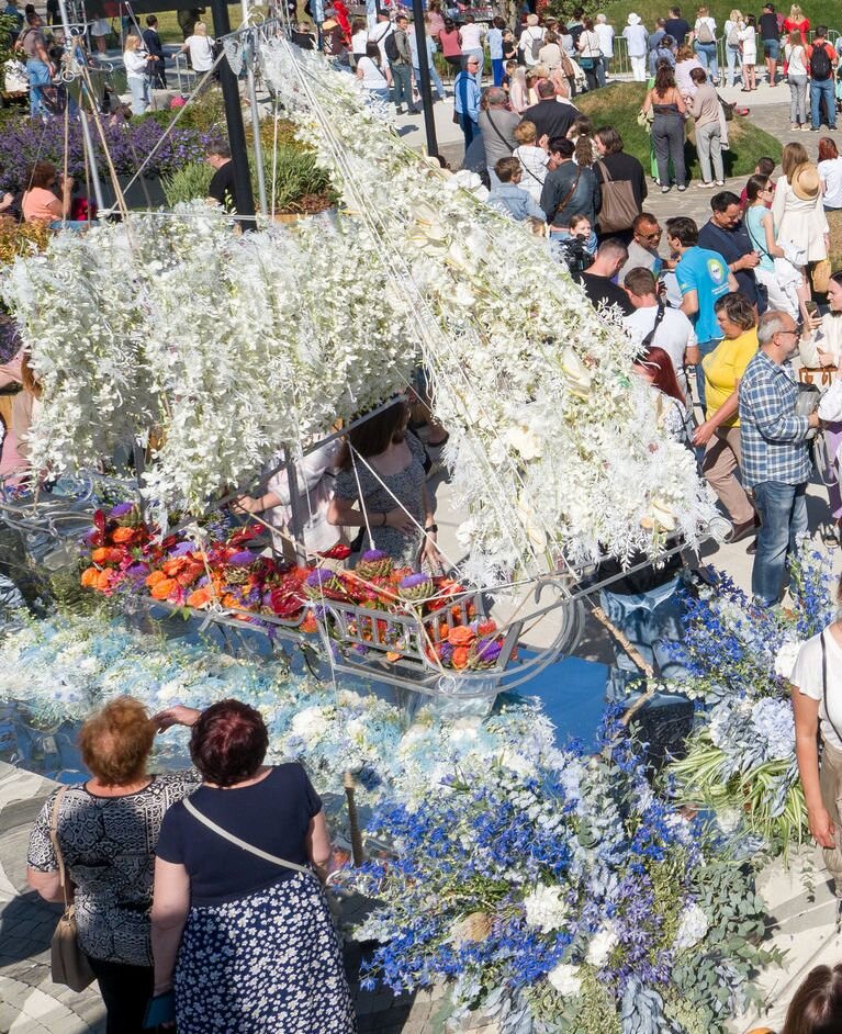 На палубе, похоже, красные антуриумы, оранжевые розы и фиолетовые астры