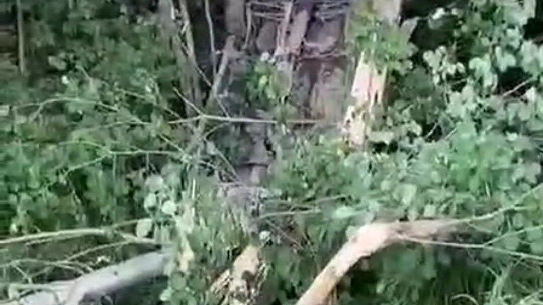     Четыре человека, в том числе два несовершеннолетних ребенка, пострадали в страшной аварии на трассе в Нижегородской области в четверг, 13 июля. О подробностях сообщили в региональном УГИБДД.