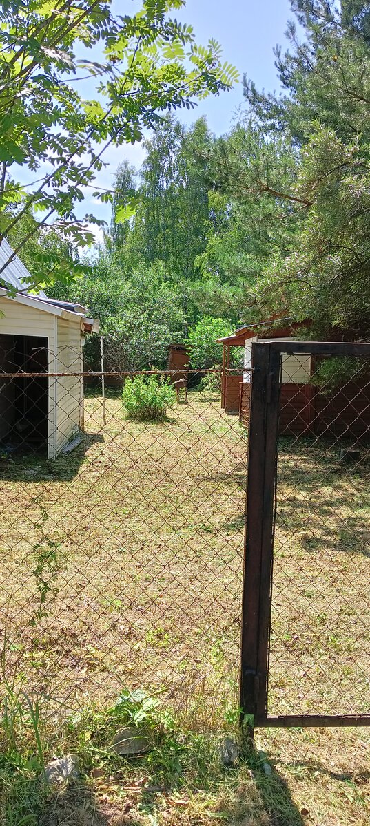 Сегодня так выглядит участок после покоса 