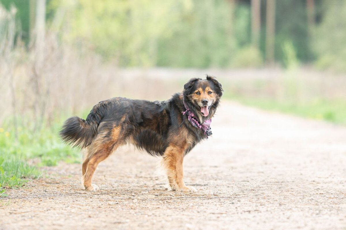 Вот такой красавчик оказался