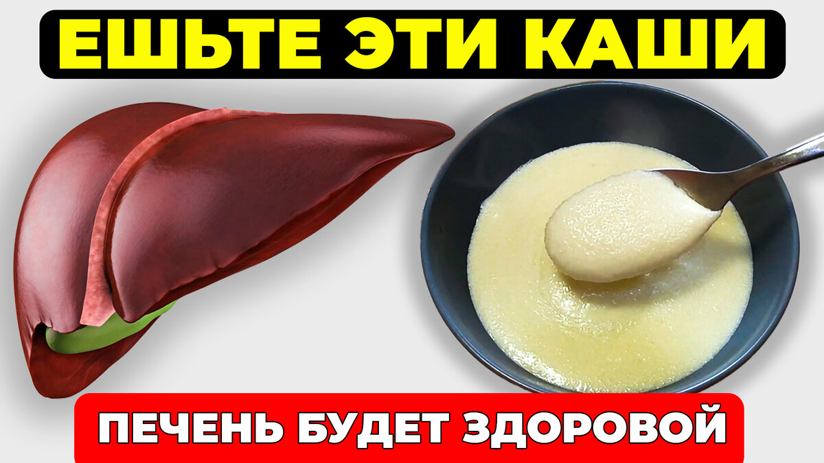 Самые полезные каши для печени и кишечника | Долголетие | Дзен