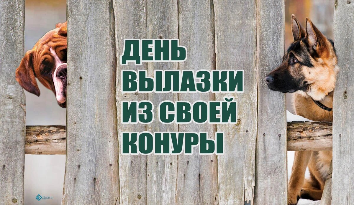 День вылазки из своей конуры. Иллюстрация: «Весь Искитим»