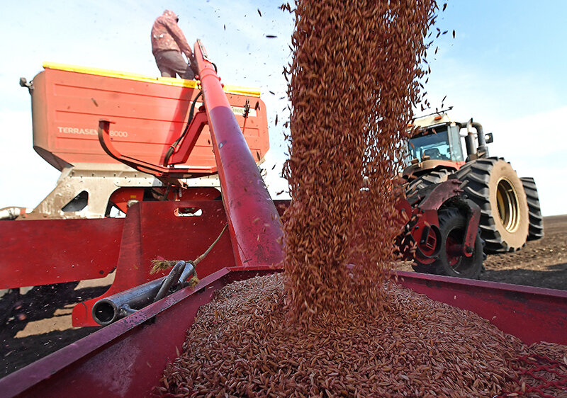    © Илья Наймушин/РИА Новости