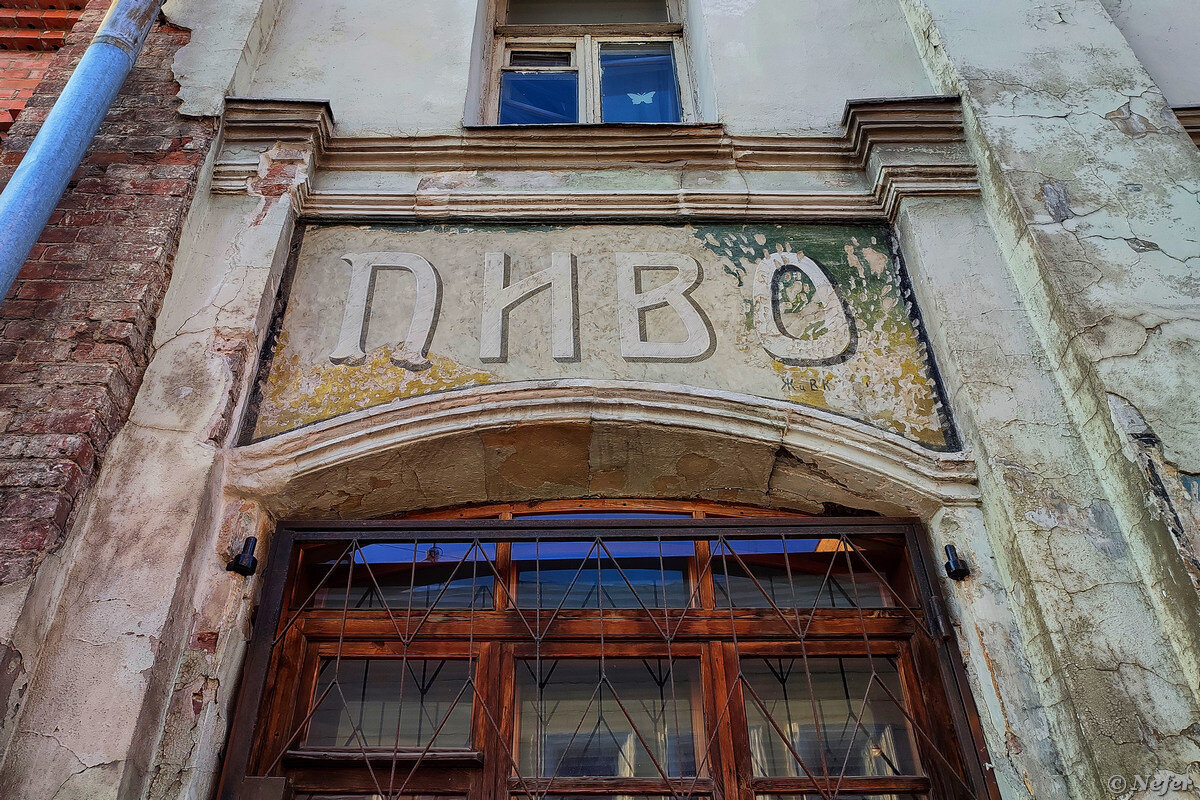 Баер северный пер 4 фото