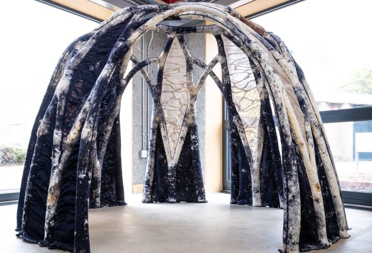    Грибы обучаются созданию домов для людей