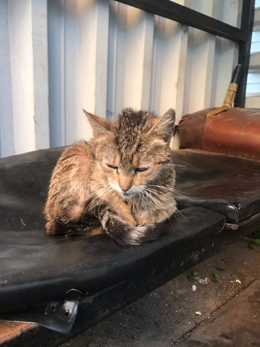 Добавьте описание