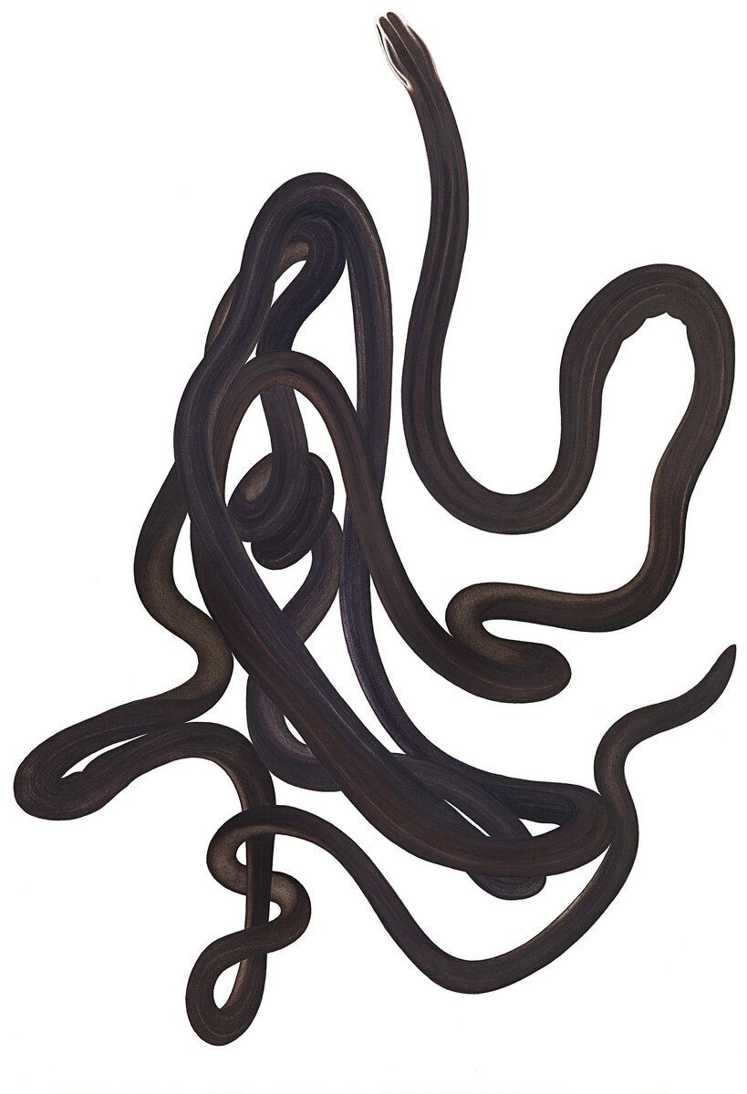 Червь Lineus longissimus