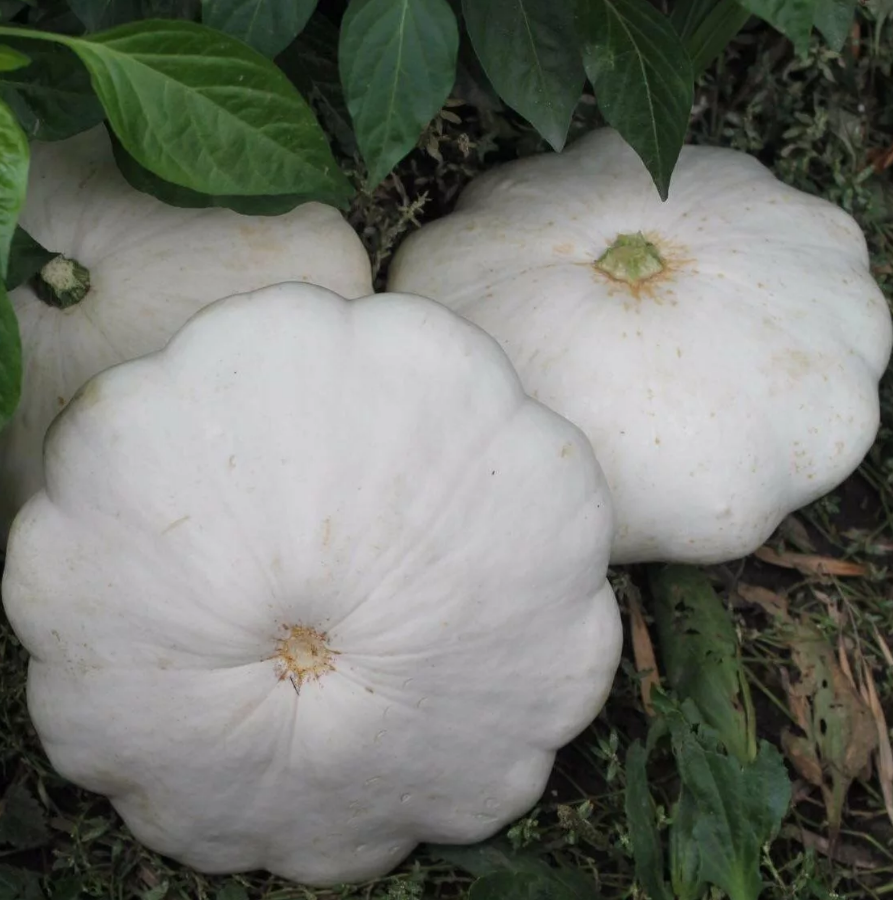 Яндекс.картинки.