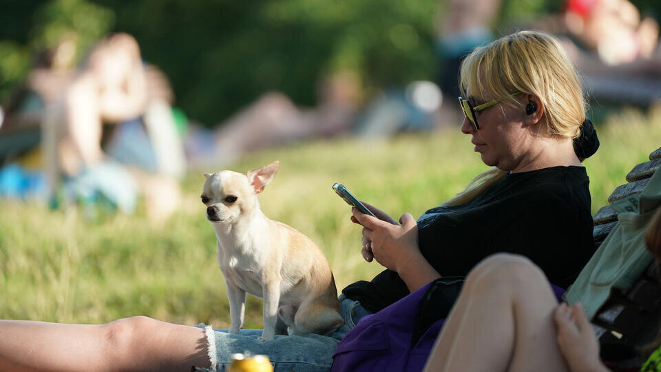 Фото: © Известия/Павел Волков