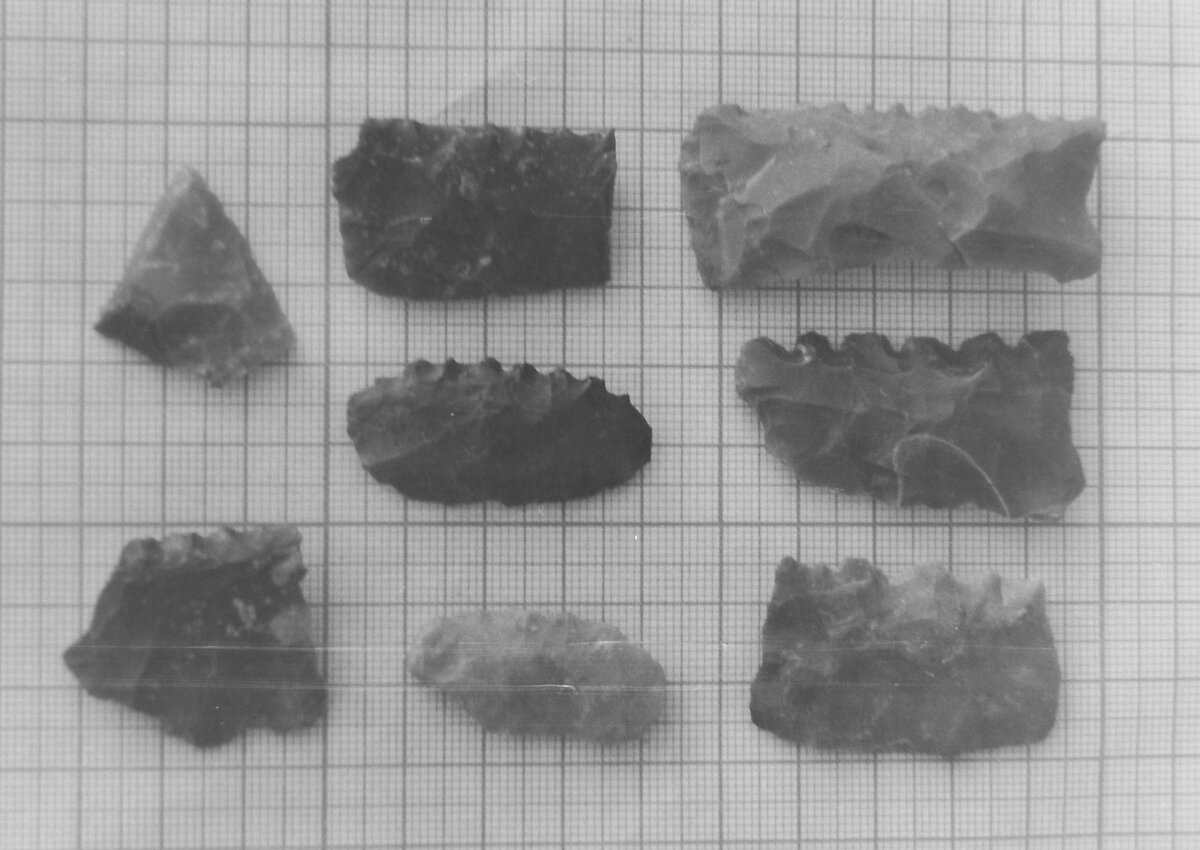 Вкладыши и обломок какого-то остроконечного орудия