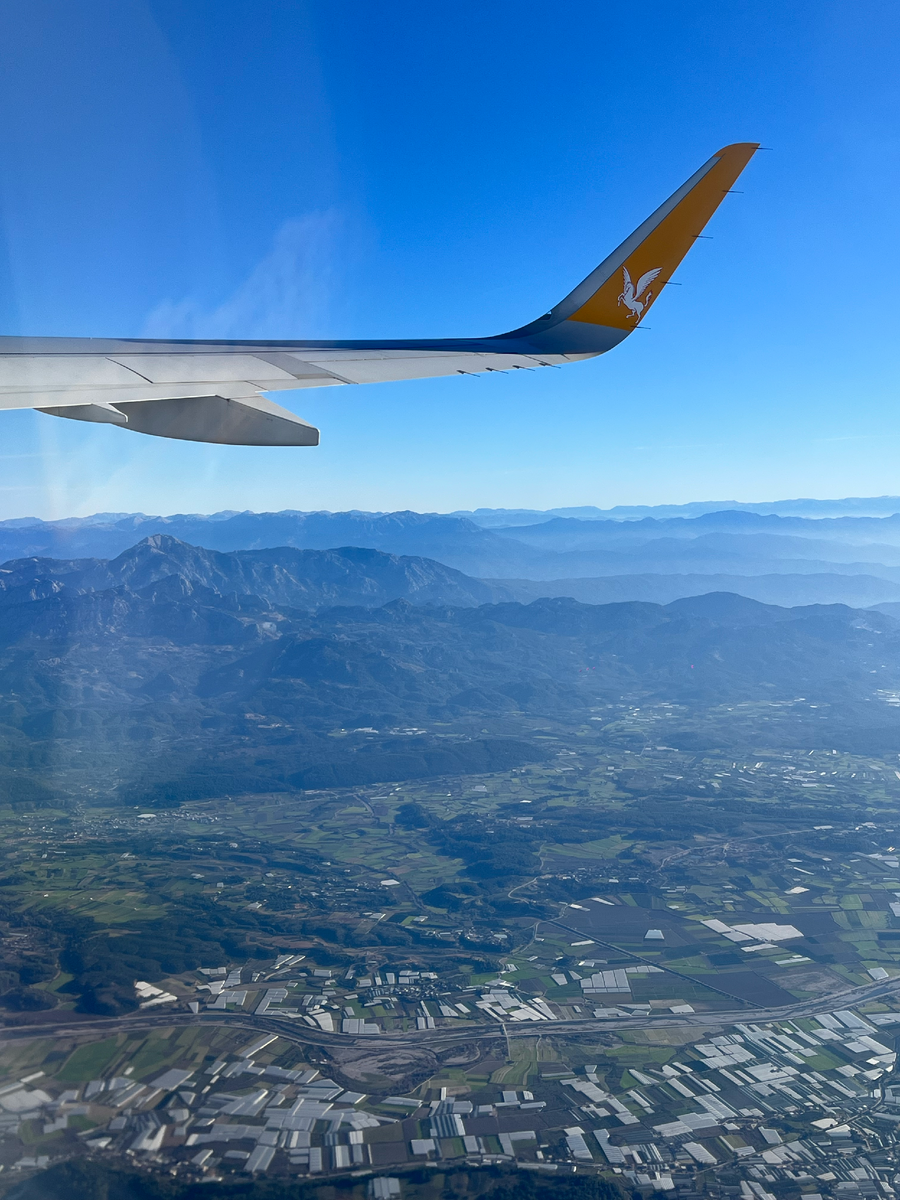 Вид на крыло самолета компании Pegasus Airlines
