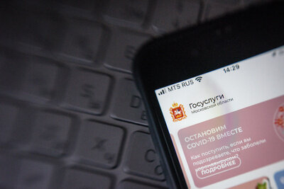    Приложение "Госуслуги Московской области" на телефоне ©Пелагия Тихонова РИАМО