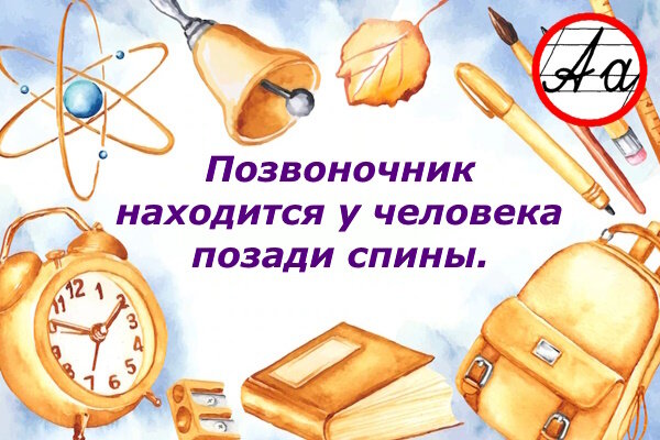 Коллаж из изображений Freepik